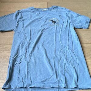 Comfort Wash Martha’s Vinyard Bad Dog